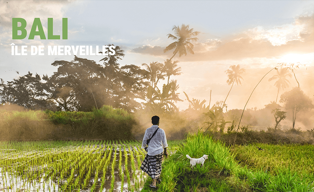 Affiche du film sur Bali