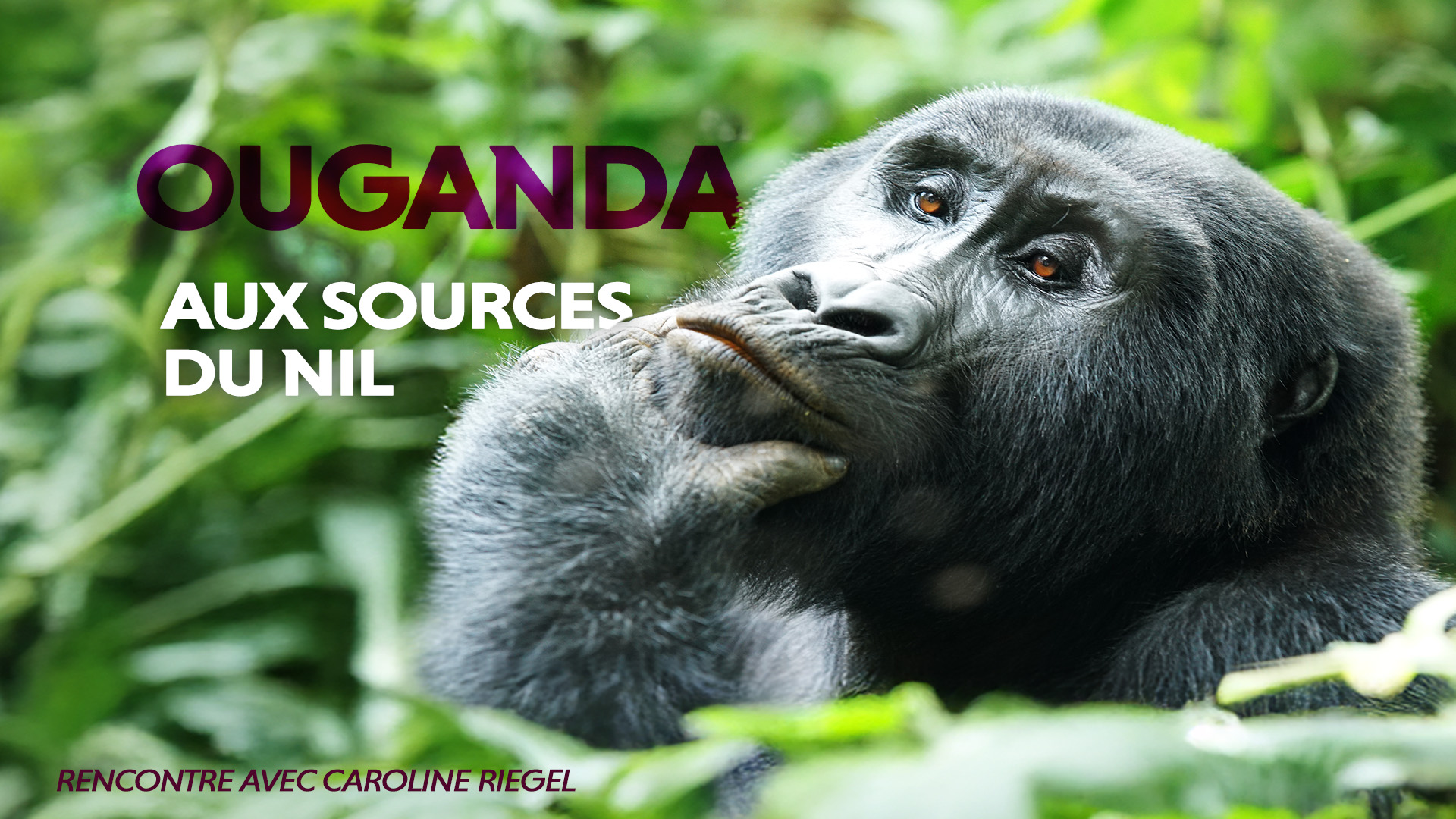 Affiche du film sur l’Ouganda